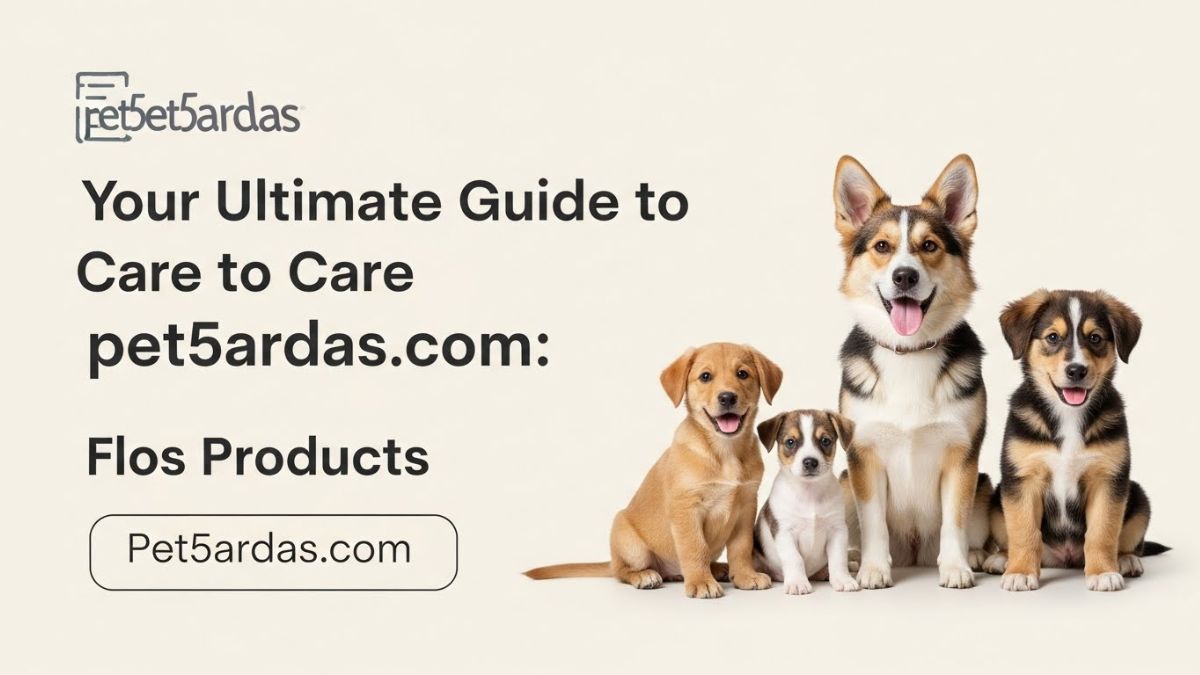 Exploring pet5ardas com: Your Ultimate Guide to Pet Care and Products