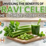 Unveiling the Benefits of Pravi Celer: The Ultimate Celery Guide